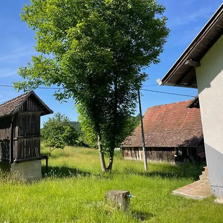 Apartament Etno Domacinstvo *